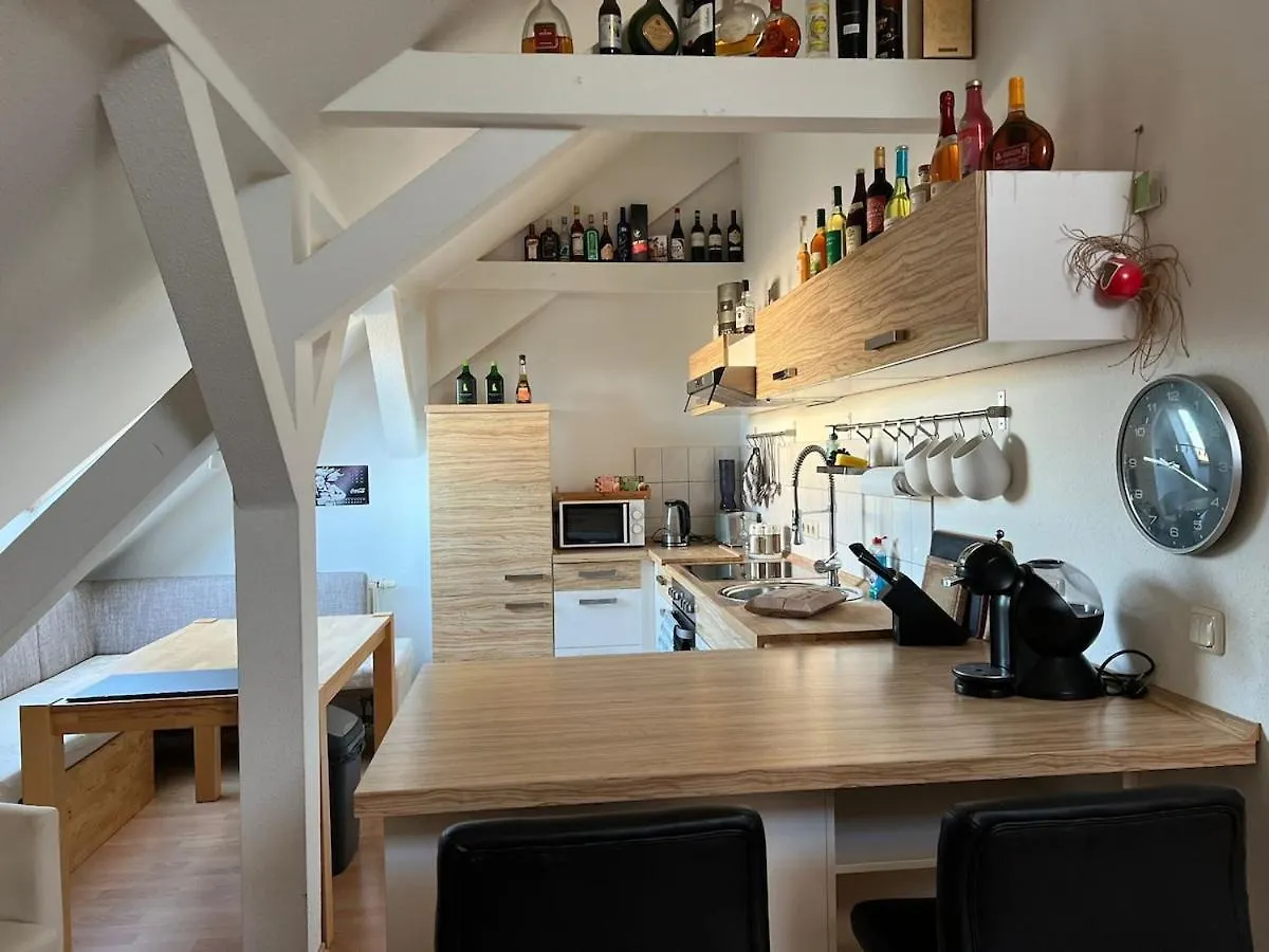 Apartment 3 Zimmer Wohnung Am Grossen Garten Dresden