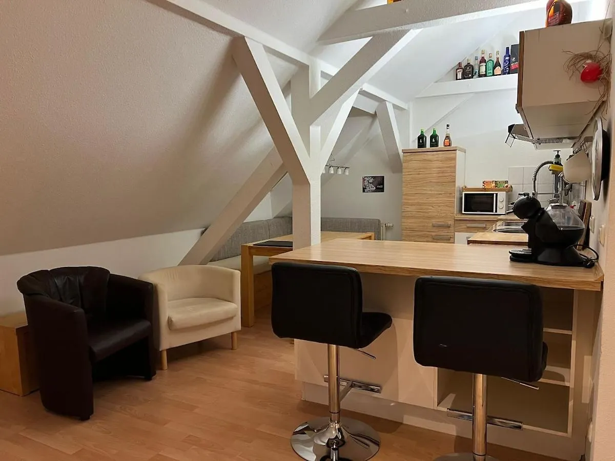 3 Zimmer Wohnung Am Grossen Garten Dresden Apartment